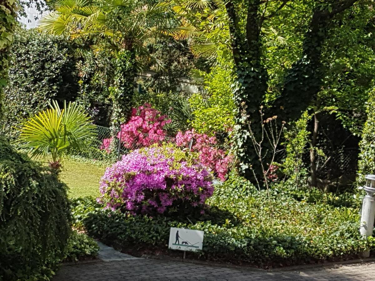 Apartament Opal Muralto Zewnętrze zdjęcie